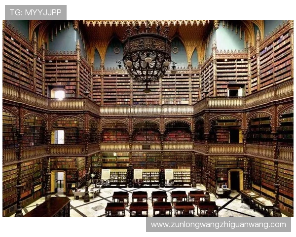 D88尊龙注册遇到问题怎么办？详细解决方案帮你轻松应对