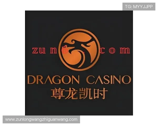 尊龙凯时完美体育app网址官方入口导航，便捷访问安全保障全方位介绍