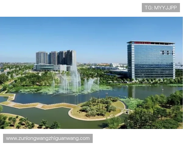 尊龙凯官方网站未来发展规划与创新战略引领行业新趋势