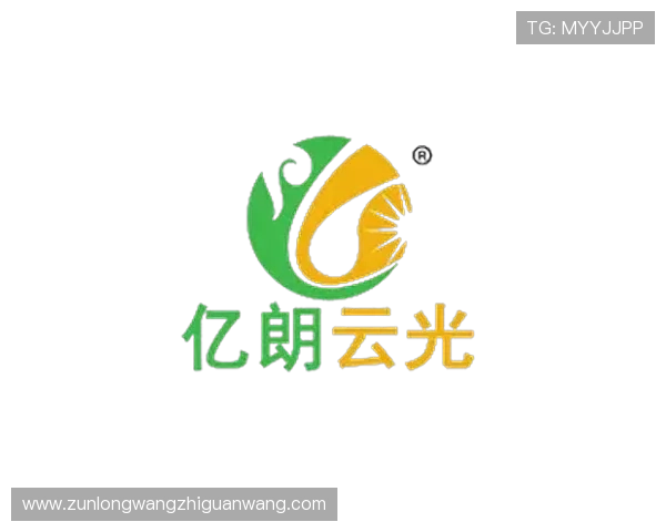 尊龙凯时入口官方网站，确保每一次登录都安全无忧的优质平台