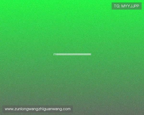 Z6尊龙真人视讯的安全支付方式与资金管理策略，保障您的财产安全