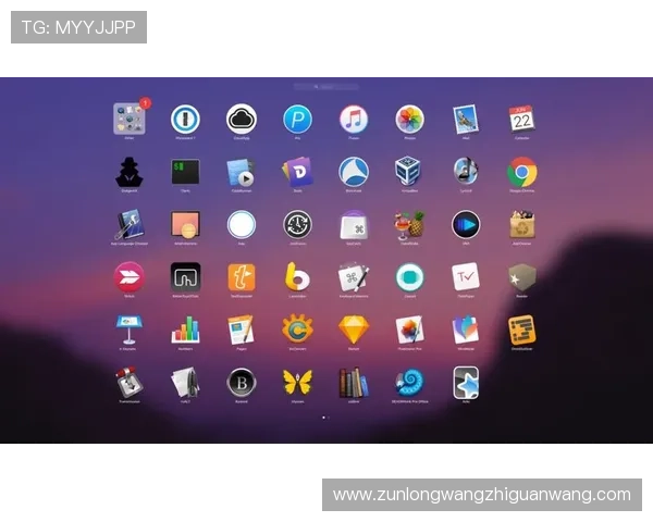 凯时尊龙app如何保障玩家账号安全与提升游戏体验的实用建议