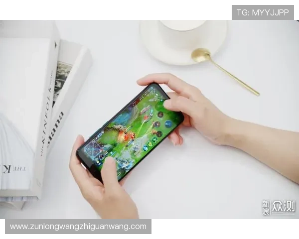 Z6尊龙电子游戏平台最新玩法介绍与安全保障全解析