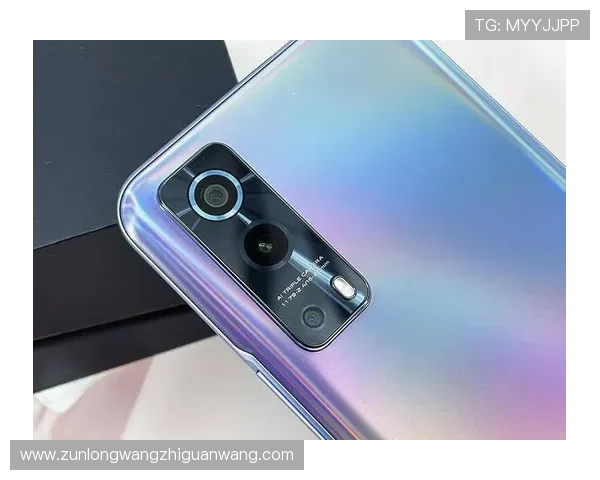 尊龙z6线上手机版多平台兼容性分析与优化设置，确保流畅游戏体验